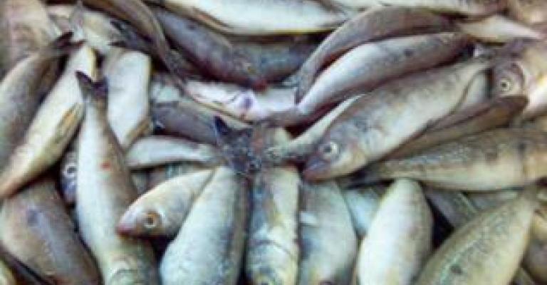 نقيب المواد التموينية يلوح بمقاضاة جمعية حماية المستهلك