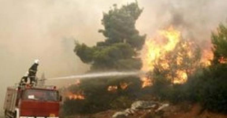 حريق يأتي على 30 شجرة مثمرة في وادي موسى