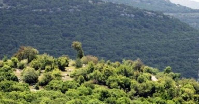 " أحرار برقش" يطالب برفع كافة القيود الأمنية عن الحياة السياسة