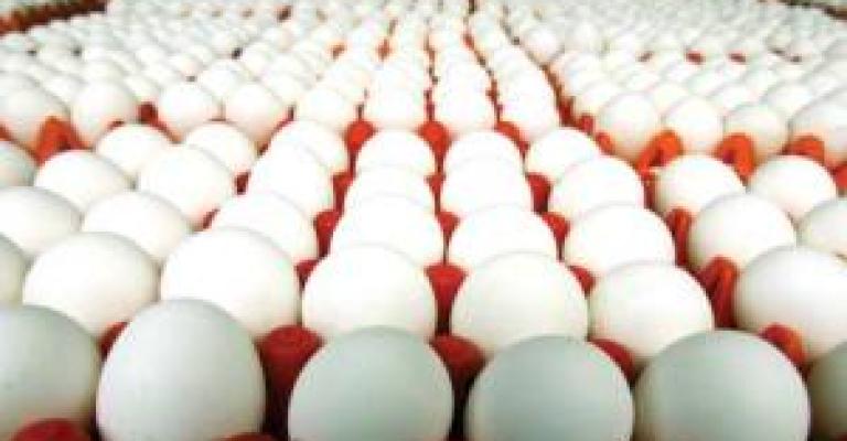 الإحصاءات: ارتفاع إنتاج بيض المائدة الإحصاءات: ارتفاع إنتاج بيض المائدة