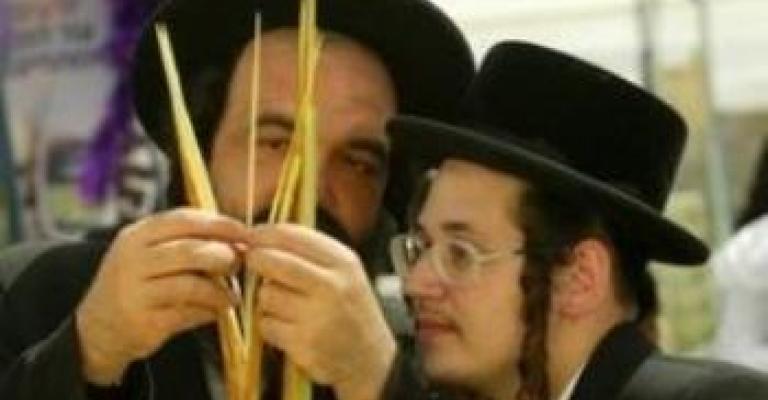 الزراعة الإسرائيلية تصادق على استيراد سعف النخيل من الأردن لعيد "المظلة"