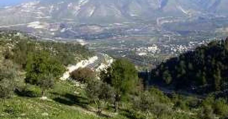 "الموجب" محمية محيط حيوي "الموجب" محمية محيط حيوي