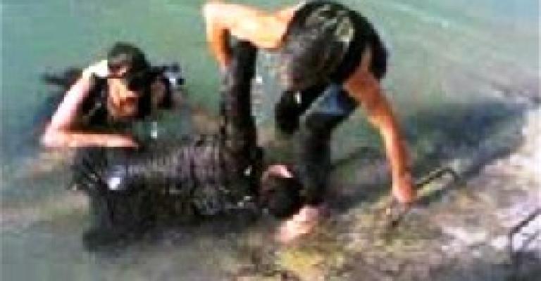 وفاة شاب سوري غرقا في العقبة