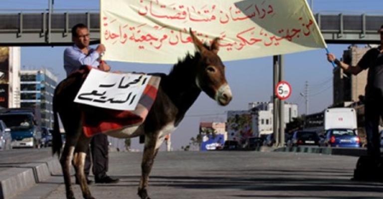 فيديو.. تسيير “الحمار السريع” في مسار الباص السريع فيديو.. تسيير “الحمار السريع” في مسار الباص السريع