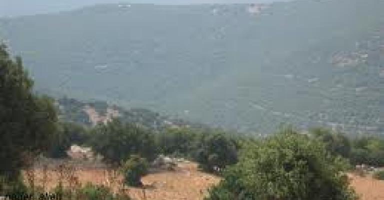 الحباشنة وبرقش 