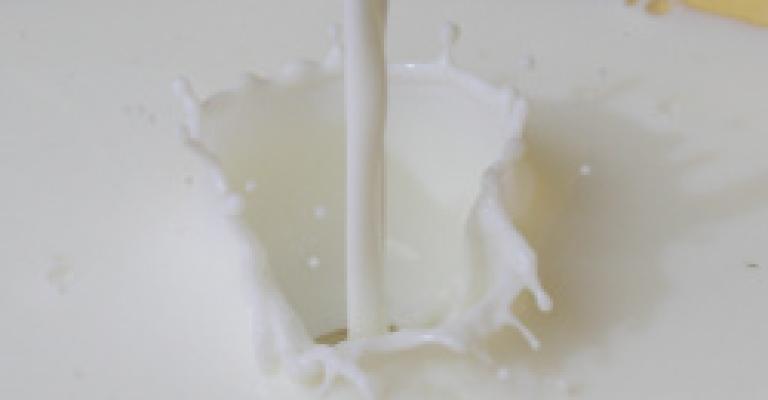 الزراعة النيابية تطالب بتشديد الرقابة على معامل الألبان غير المرخصة