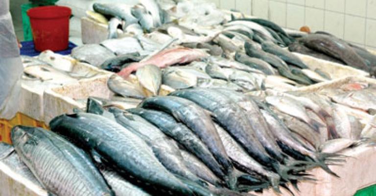 بروشورات توعوية حول التعامل مع اللحوم والاسماك والماكولات البحرية بروشورات توعوية حول التعامل مع اللحوم والاسماك والماكولات البحرية