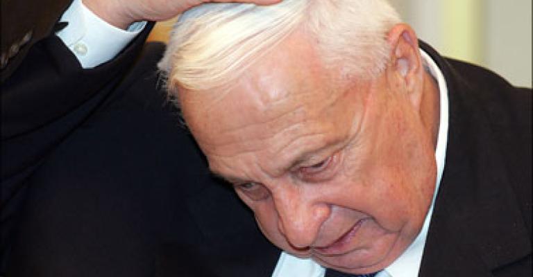 كتاب: شارون يرفض حصانا أردنيا أصيلا