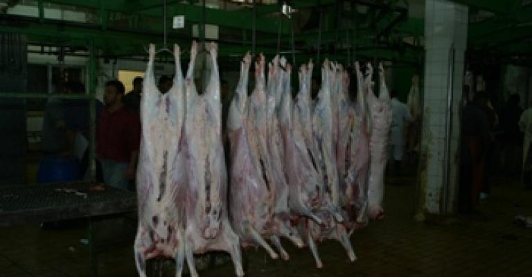 الامانة: بيع 95 الف راس غنم و 206 من الأبقار خلال العيد