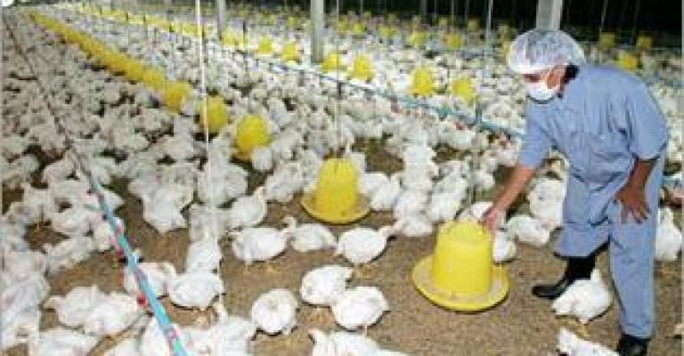 اتفاقية تنهي إضراب عمال الدواجن الوطنية