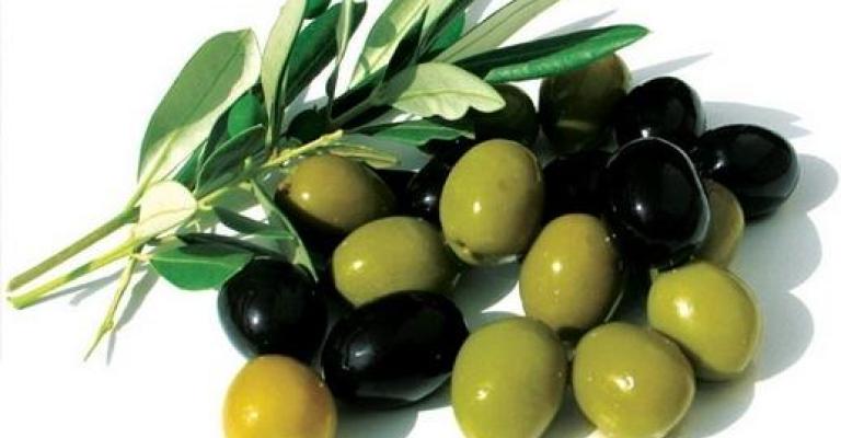 فعالية يوم السبت"غصن الزيتون ليس لبني صهيون"