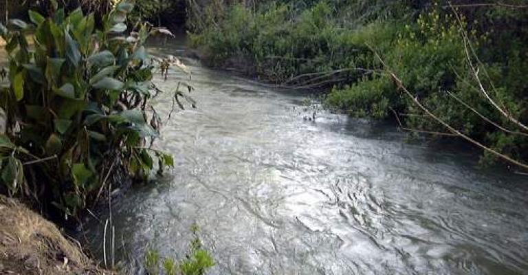 الأمن يحمي مياه وادي الأردن