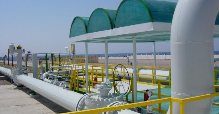 مصر: تصريحات المجالي حيال حماية خط الغاز مجاملة سياسية