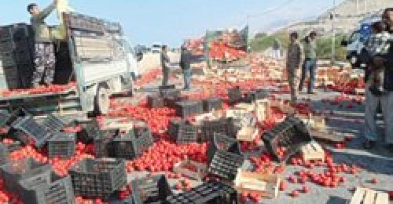 مزارعو غور الصافي يلوحون بإلقاء البندورة في الطريق العام