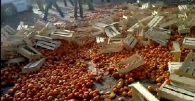 قرشان: دعم حكومي للمزارع لكيلو البندورة المباع للمصنع قرشان: دعم حكومي للمزارع لكيلو البندورة المباع للمصنع