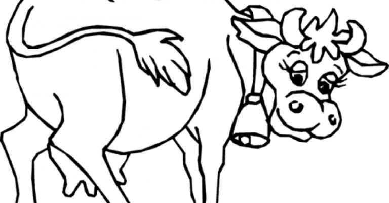 بقرة (التعليم العالي) و ما زال الحلب مستمر