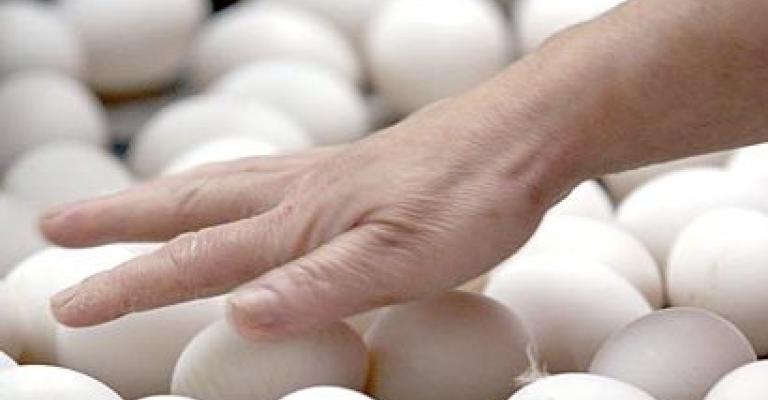 هل يهجر الأردنيون طبق البيض لارتفاع أسعاره!