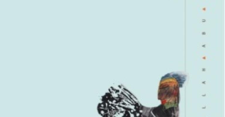 الخطأ: المجموعة الثانية للشاعر أبو شميس الخطأ: المجموعة الثانية للشاعر أبو شميس