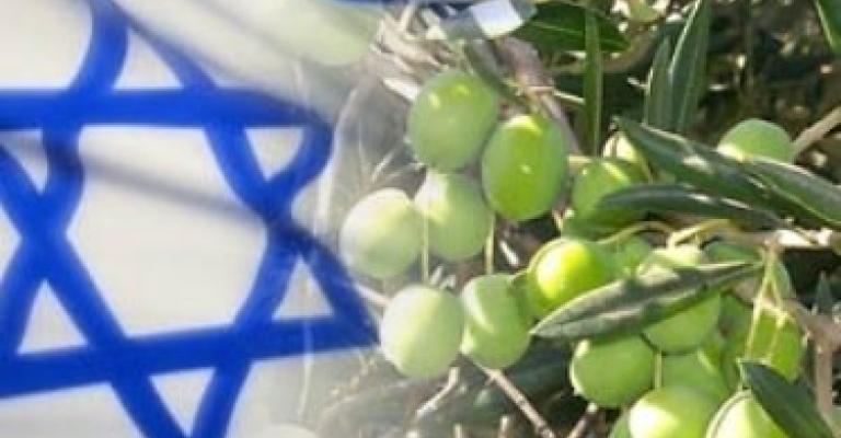مجابهة التطبيع: ممارسات تجار ومزارعين تضر الاقتصاد الزراعي