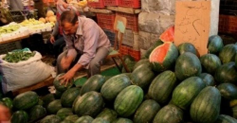 أصحاب معرشات البطيخ يعتصمون