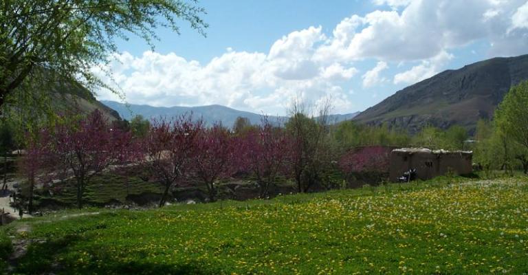 أجواء معتدلة في المناطق الجبلية والعظمى في عمان 28 درجة أجواء معتدلة في المناطق الجبلية والعظمى في عمان 28 درجة