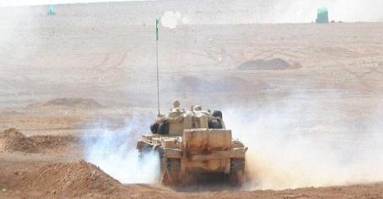 الملك يتابع الاسد المتأهب في جبال البترا الملك يتابع الاسد المتأهب في جبال البترا