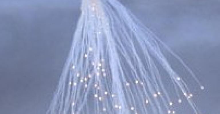 إسرائيل تقصف البيئة الأردنية بالقنابل الفسفورية إسرائيل تقصف البيئة الأردنية بالقنابل الفسفورية