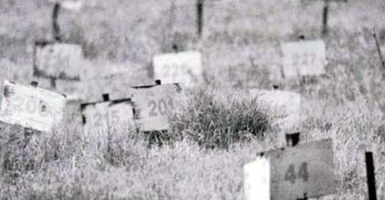 تضارب حول رفات احد شهداء الجيش العربي في حرب 76