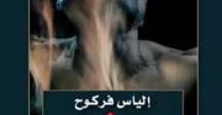 فركوخ يناقش غريق المرايا فركوخ يناقش غريق المرايا