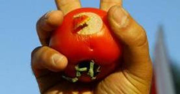 اعتقال ناشطين في اربد حاولوا اعترض الطراونة اعتقال ناشطين في اربد حاولوا اعترض الطراونة
