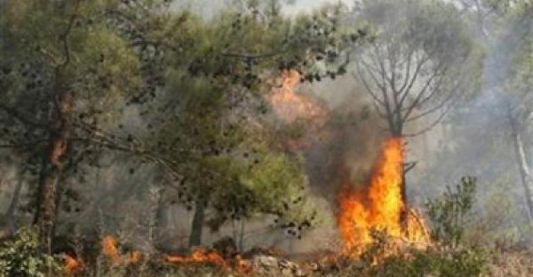 امتداد حريق من الجانب الإسرائيلي إلى العدسية امتداد حريق من الجانب الإسرائيلي إلى العدسية
