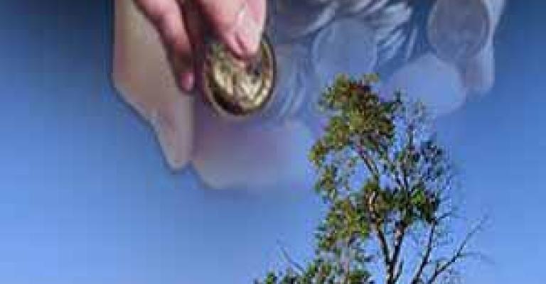 الإفتاء: زكاة الفطر 150 قرشاً كحد أدنى 