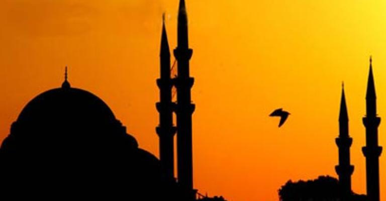 الضجيج الشهي الضجيج الشهي