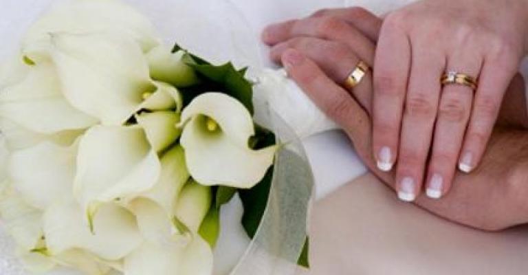 حلم يذبل كل الصيف 