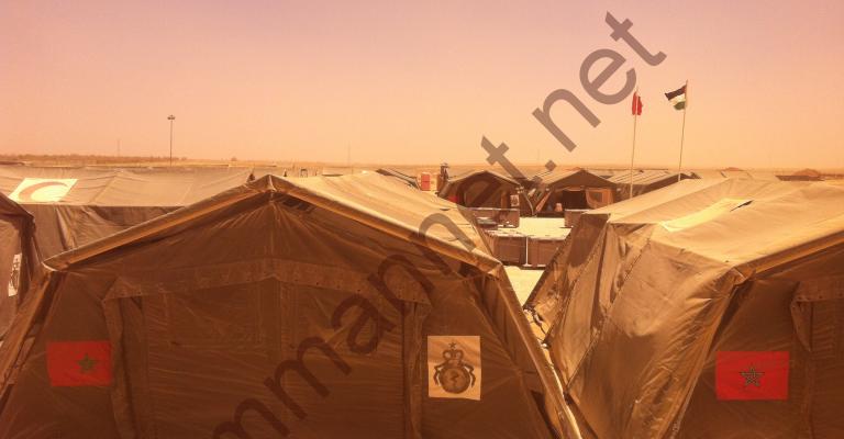 الزعتري " اصفر" 