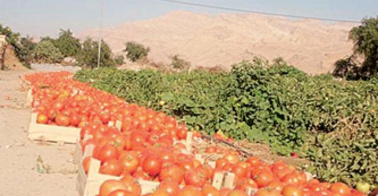نقيب المزارعين: البعض استغل عطلة السوق المركزي لرفع الأسعار