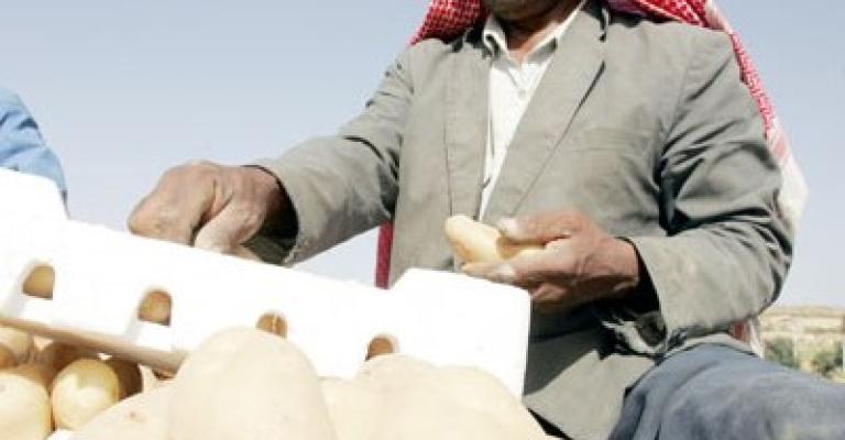 مزارعو وادي الاردن ينفذون اعتصاما مفتوحا 