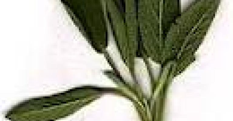 فوائد الميرمية