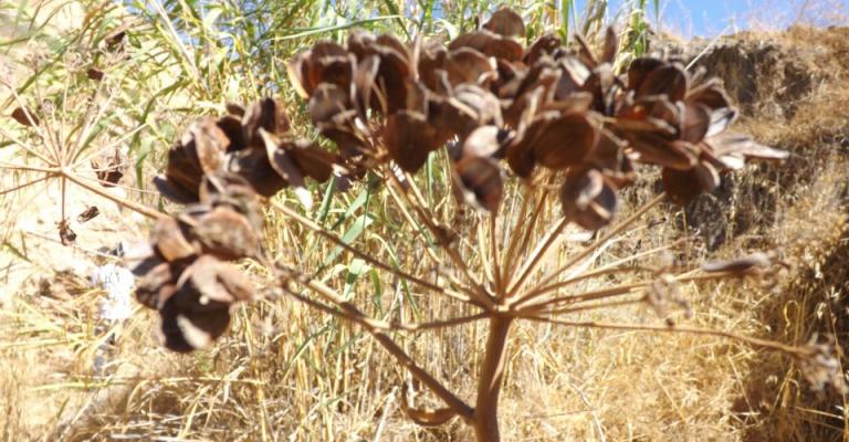 وادي زقلاب / الكورة- عدسة يحيى بني حمد 