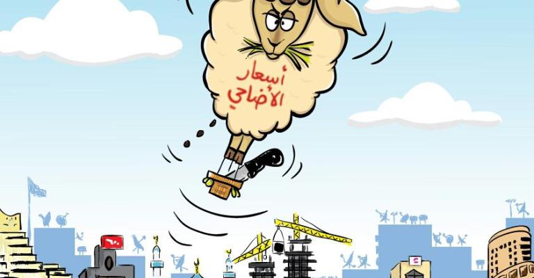 اسعار الاضاحي !! اسعار الاضاحي !!