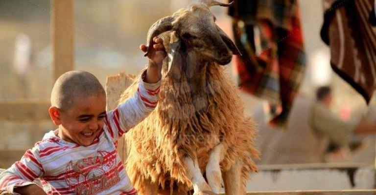 طفل يلهو مع خروف قبل ذبحه- عدسة محمد ابو غوش/ فيسبوك 