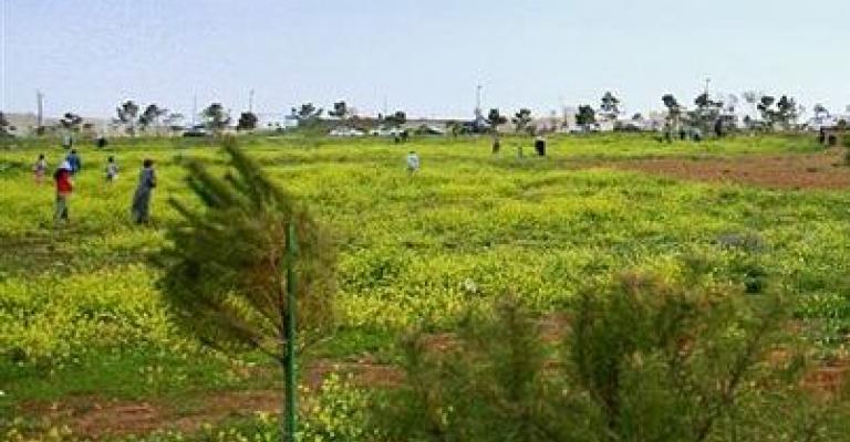 نصف مليون زائر يرتادون حدائق الحسين خلال العيد نصف مليون زائر يرتادون حدائق الحسين خلال العيد