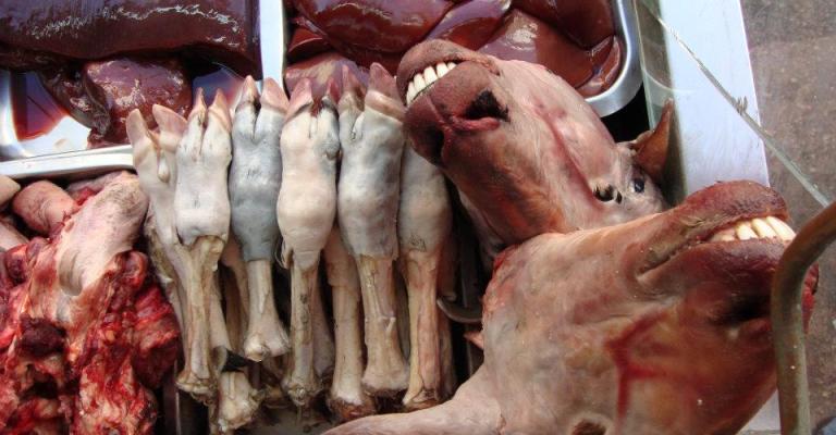 الفوارغ تجارة لها زبائنها في وسط البلد- عدسة محمد شما 