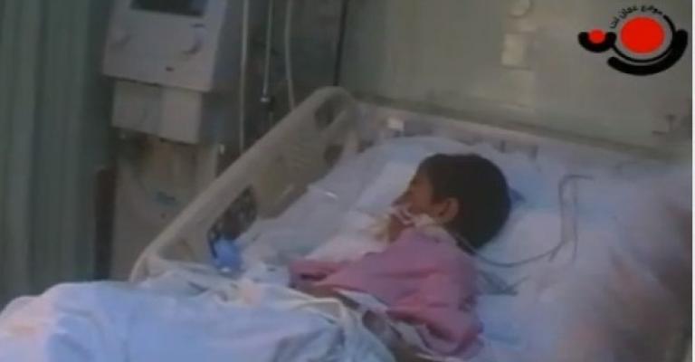 الكلاب الضالة.. همّ يؤرق أهالي مادبا - فيديو الكلاب الضالة.. همّ يؤرق أهالي مادبا - فيديو