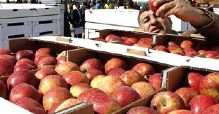 التفاح البلدي في المؤسسات الاستهلاكية قريبا التفاح البلدي في المؤسسات الاستهلاكية قريبا