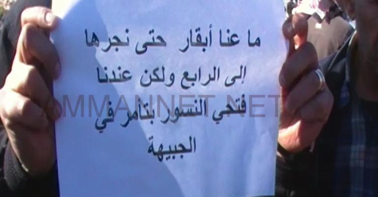 فيديو- موظفو الاحصاءات يواصلون الاحتجاج فيديو- موظفو الاحصاءات يواصلون الاحتجاج