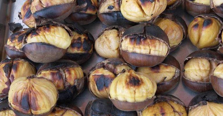 حضر الشتاء وحضرت الكستناء حضر الشتاء وحضرت الكستناء