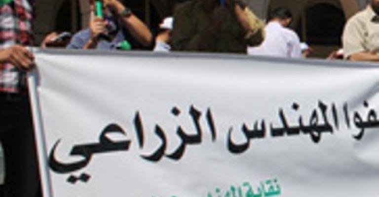 "المهندسين الزراعيين": قرار إعدام بحق شجر الزيتون