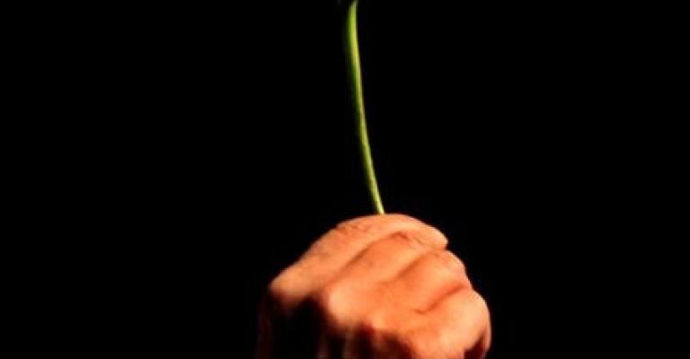 الورد الاحمر حاضر في عيد الحب (الفالنتاين)- عدسة محمد ابو غوش/ فيسبوك الورد الاحمر حاضر في عيد الحب (الفالنتاين)- عدسة محمد ابو غوش/ فيسبوك