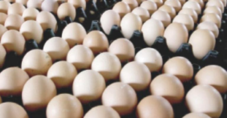 الصناعة والتجارة تحدد اسعار البيض الصناعة والتجارة تحدد اسعار البيض